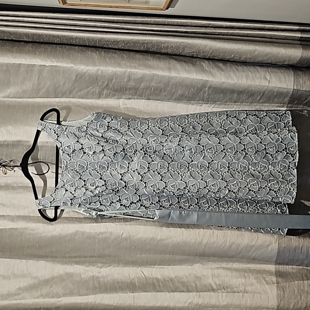 Phase Eight Dress